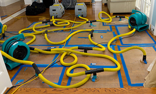 Professional Basement Flood Cleanup technician working in Southport, IN